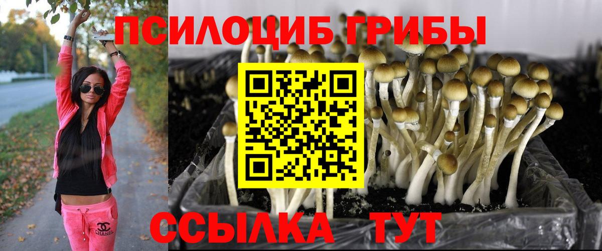 Галлюциногенные грибы мухоморы  Вход с VPN  Галлюциногенные грибы мухоморы  как найти   Кимовск 